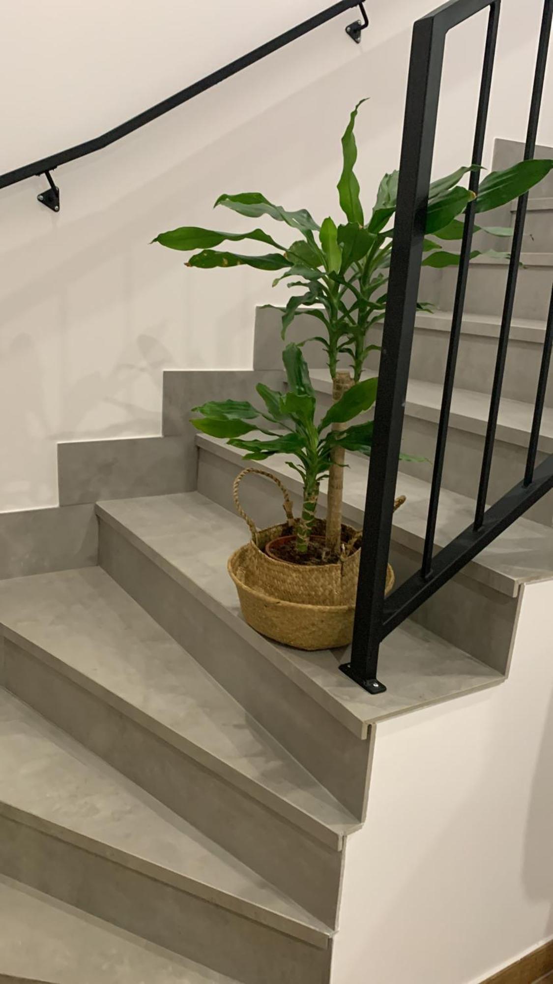 Apartamentos Lux Carrion كاريون دي لوس كونديس المظهر الخارجي الصورة